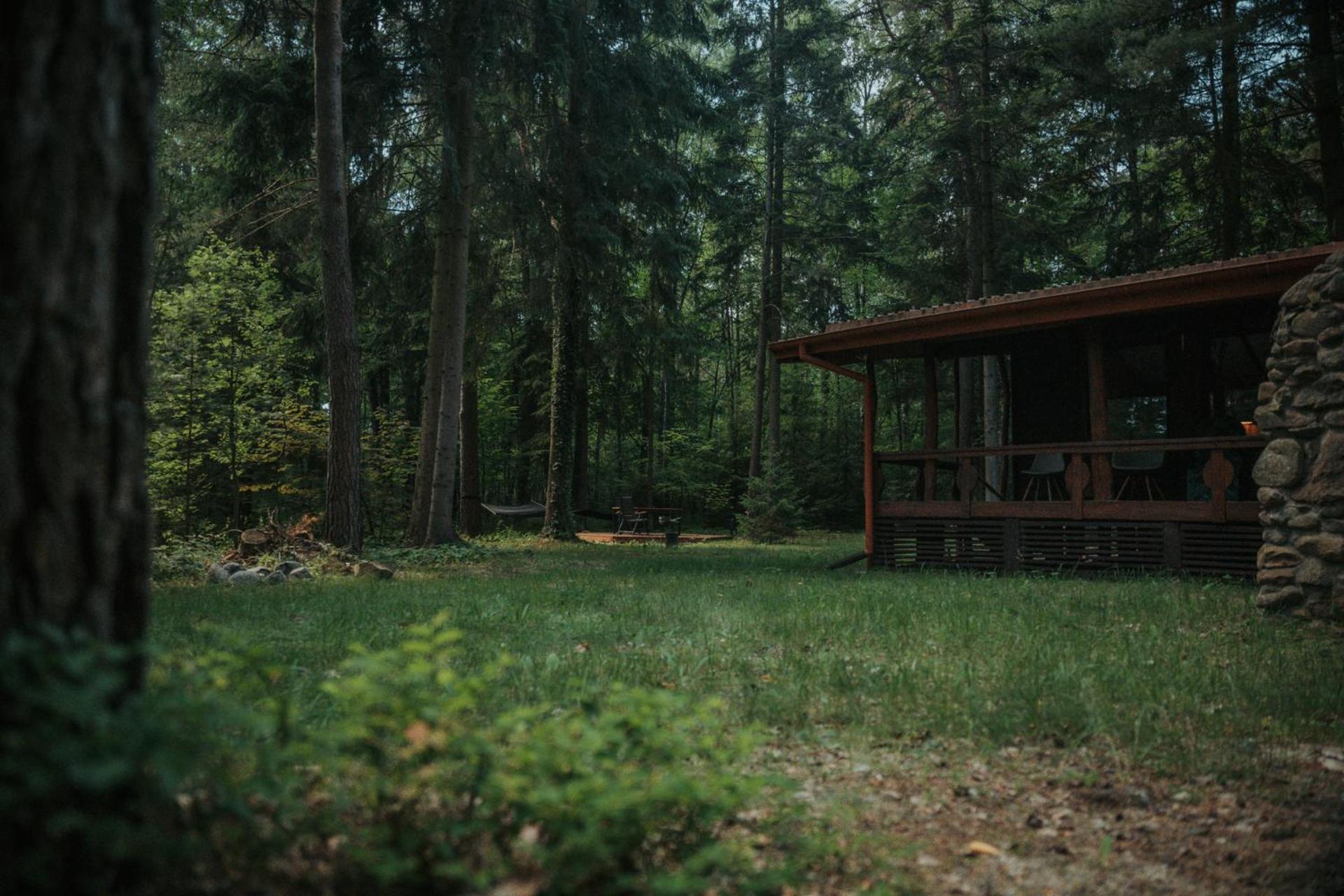 Forest Cabin - 50Min Od Warszawy Wola Polska Buitenkant foto