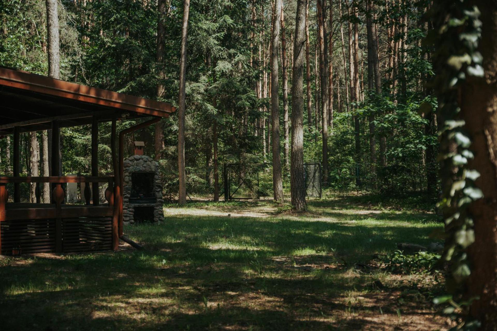 Forest Cabin - 50Min Od Warszawy Wola Polska Buitenkant foto