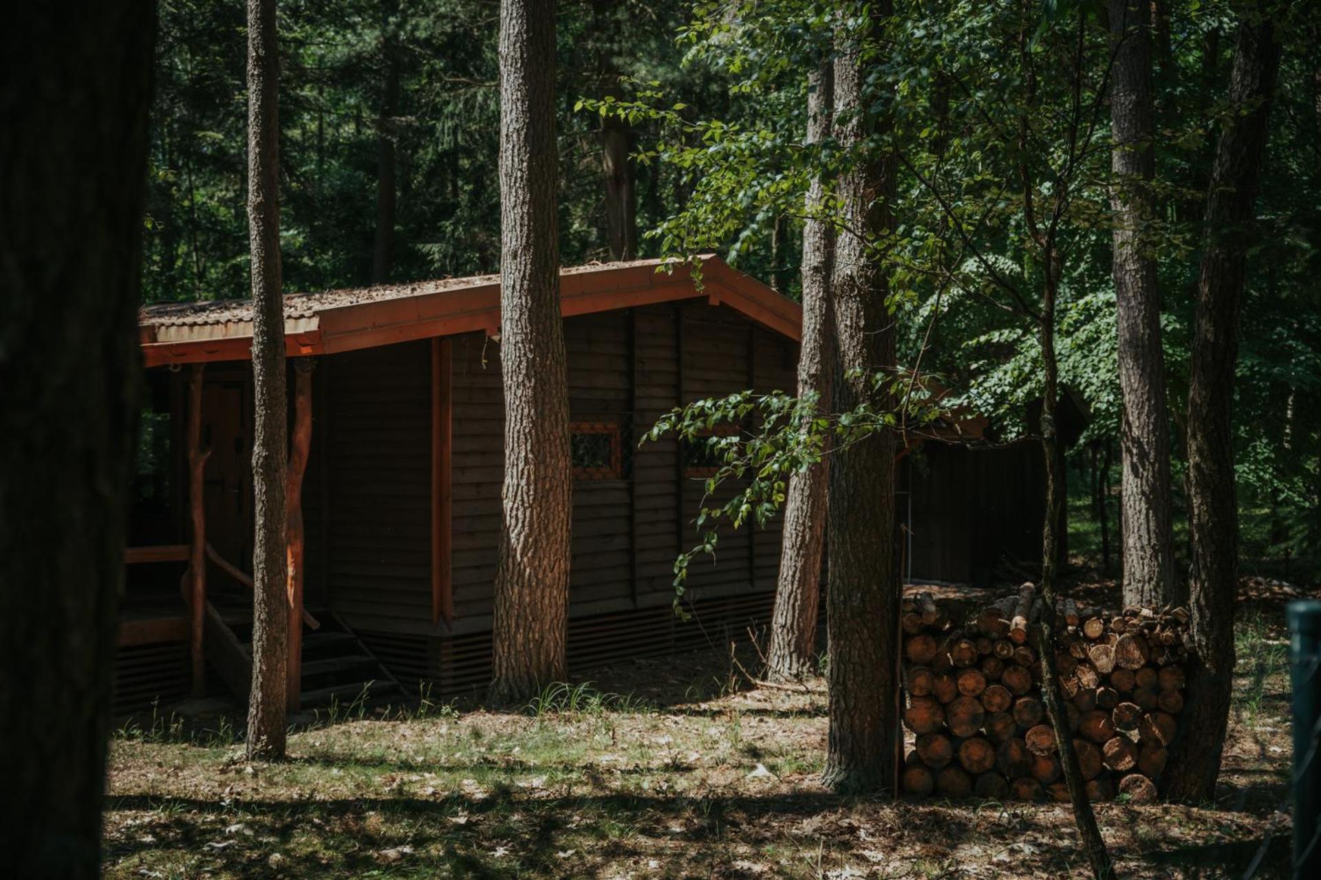 Forest Cabin - 50Min Od Warszawy Wola Polska Buitenkant foto