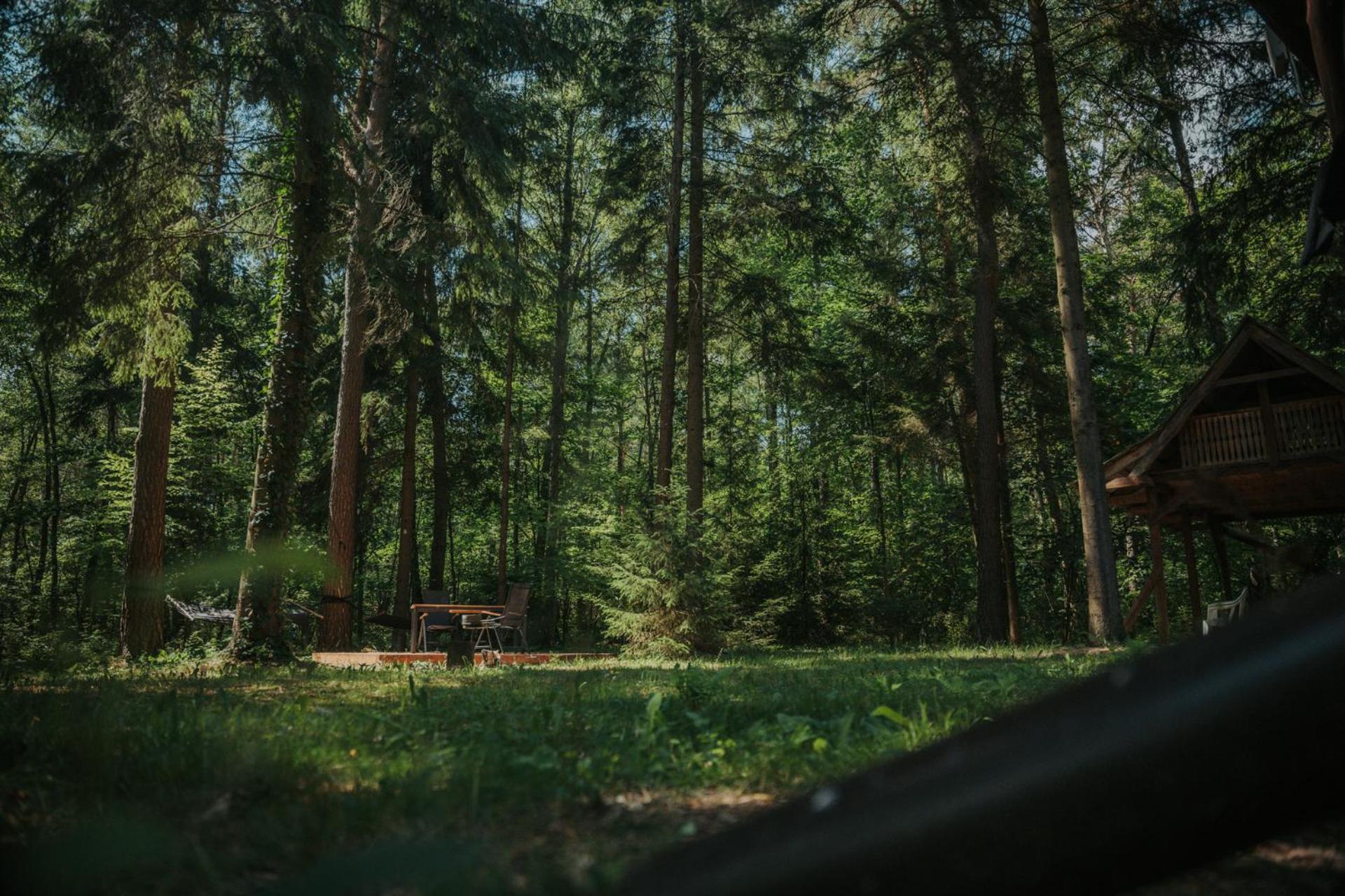 Forest Cabin - 50Min Od Warszawy Wola Polska Buitenkant foto