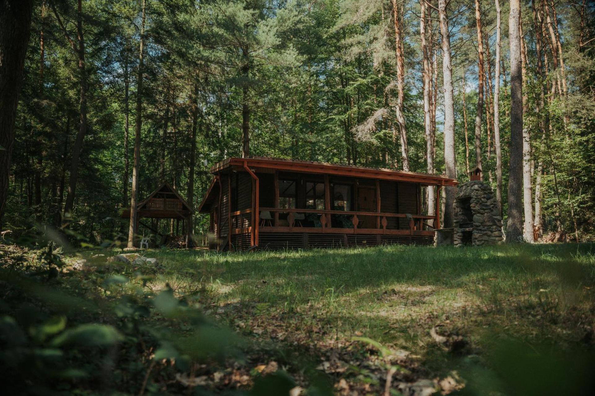Forest Cabin - 50Min Od Warszawy Wola Polska Buitenkant foto