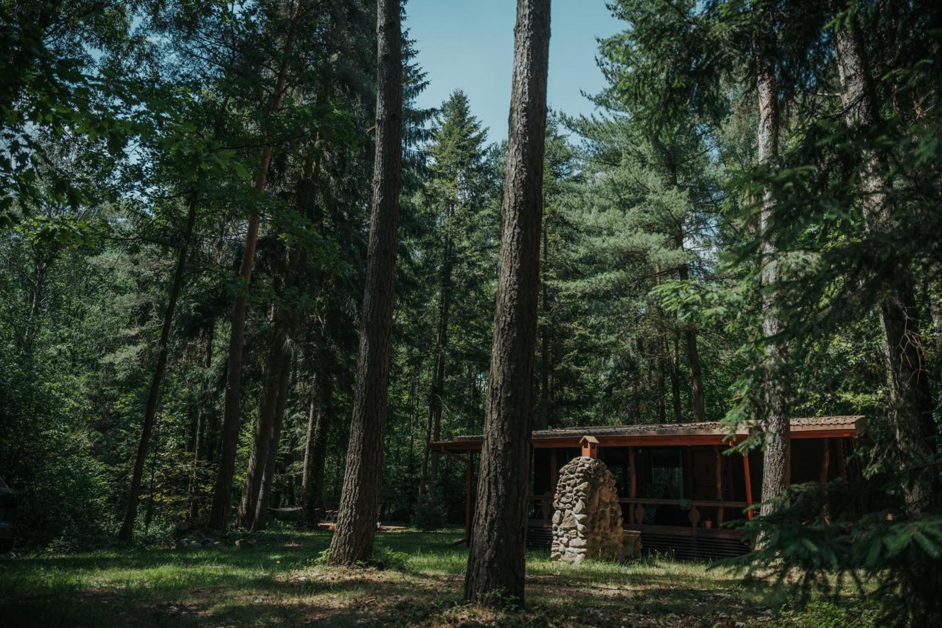 Forest Cabin - 50Min Od Warszawy Wola Polska Buitenkant foto