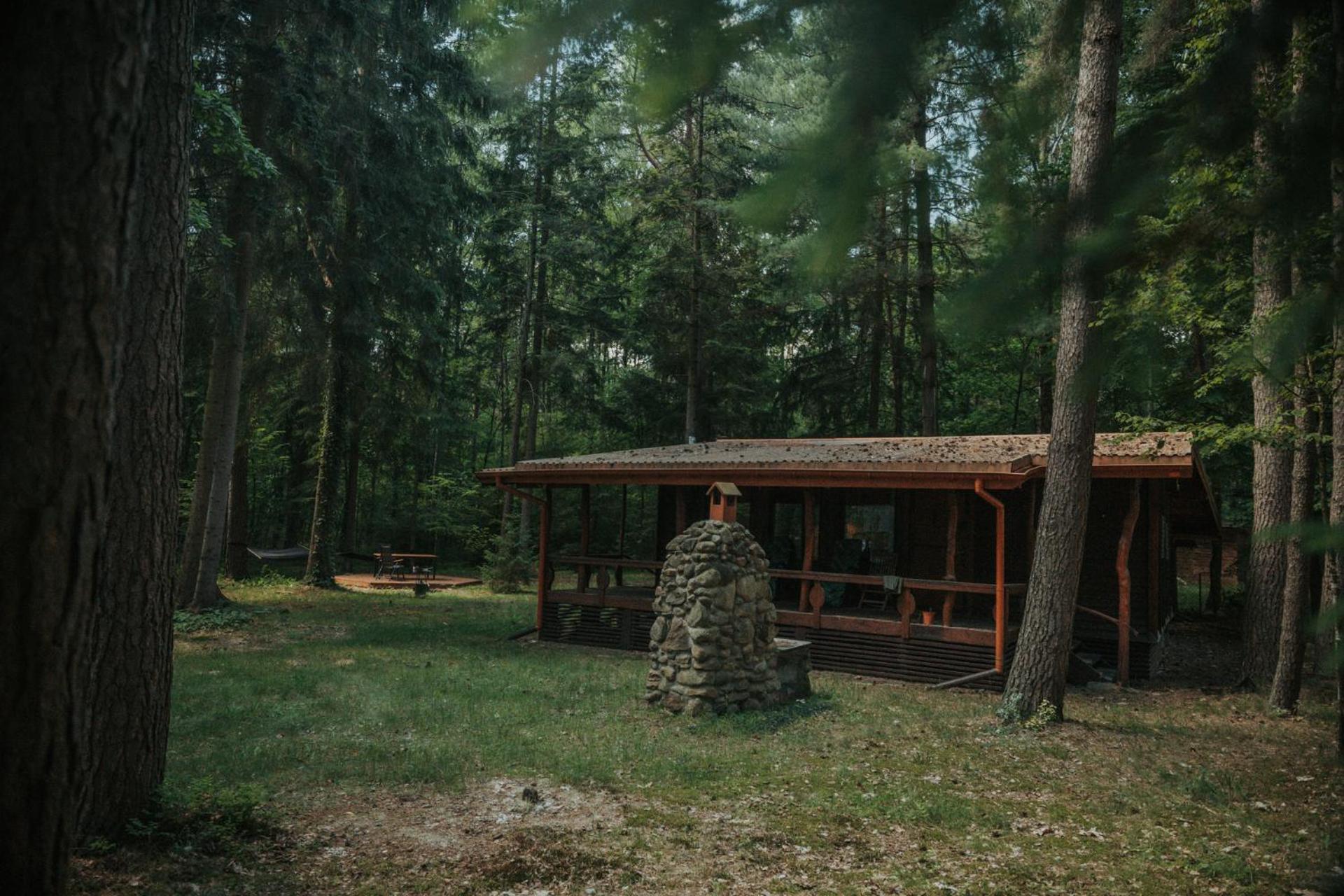 Forest Cabin - 50Min Od Warszawy Wola Polska Buitenkant foto