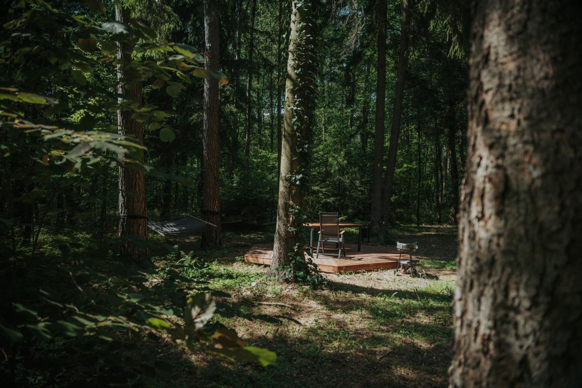 Forest Cabin - 50Min Od Warszawy Wola Polska Buitenkant foto