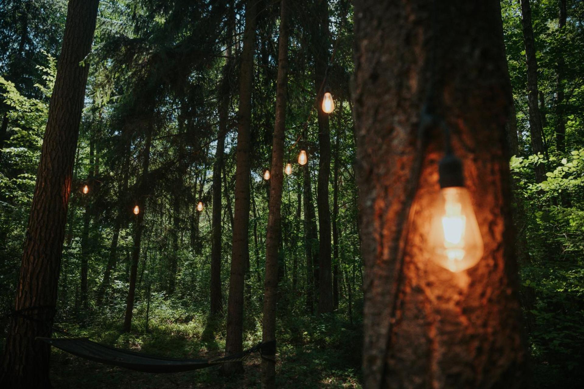 Forest Cabin - 50Min Od Warszawy Wola Polska Buitenkant foto