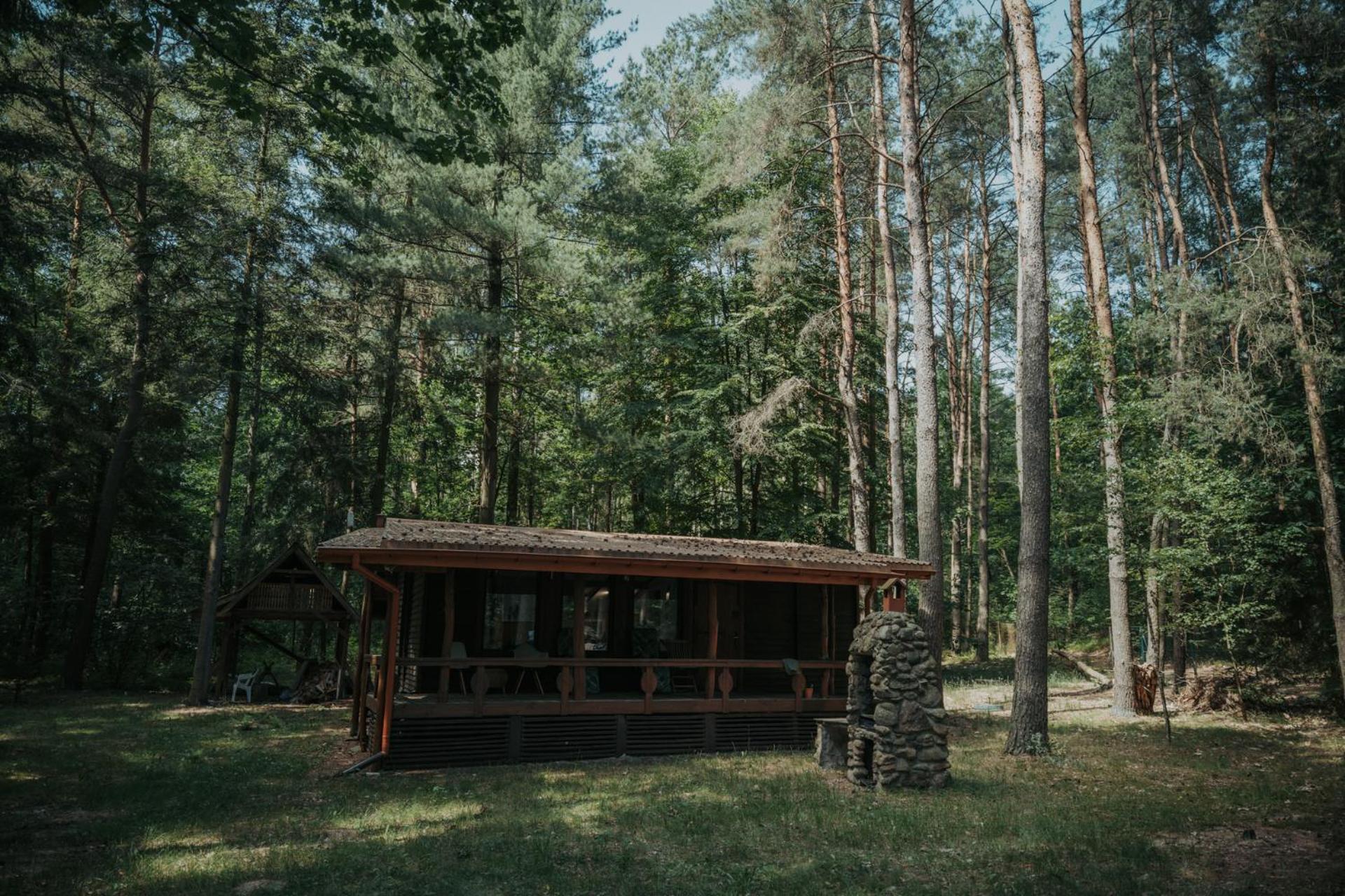 Forest Cabin - 50Min Od Warszawy Wola Polska Buitenkant foto