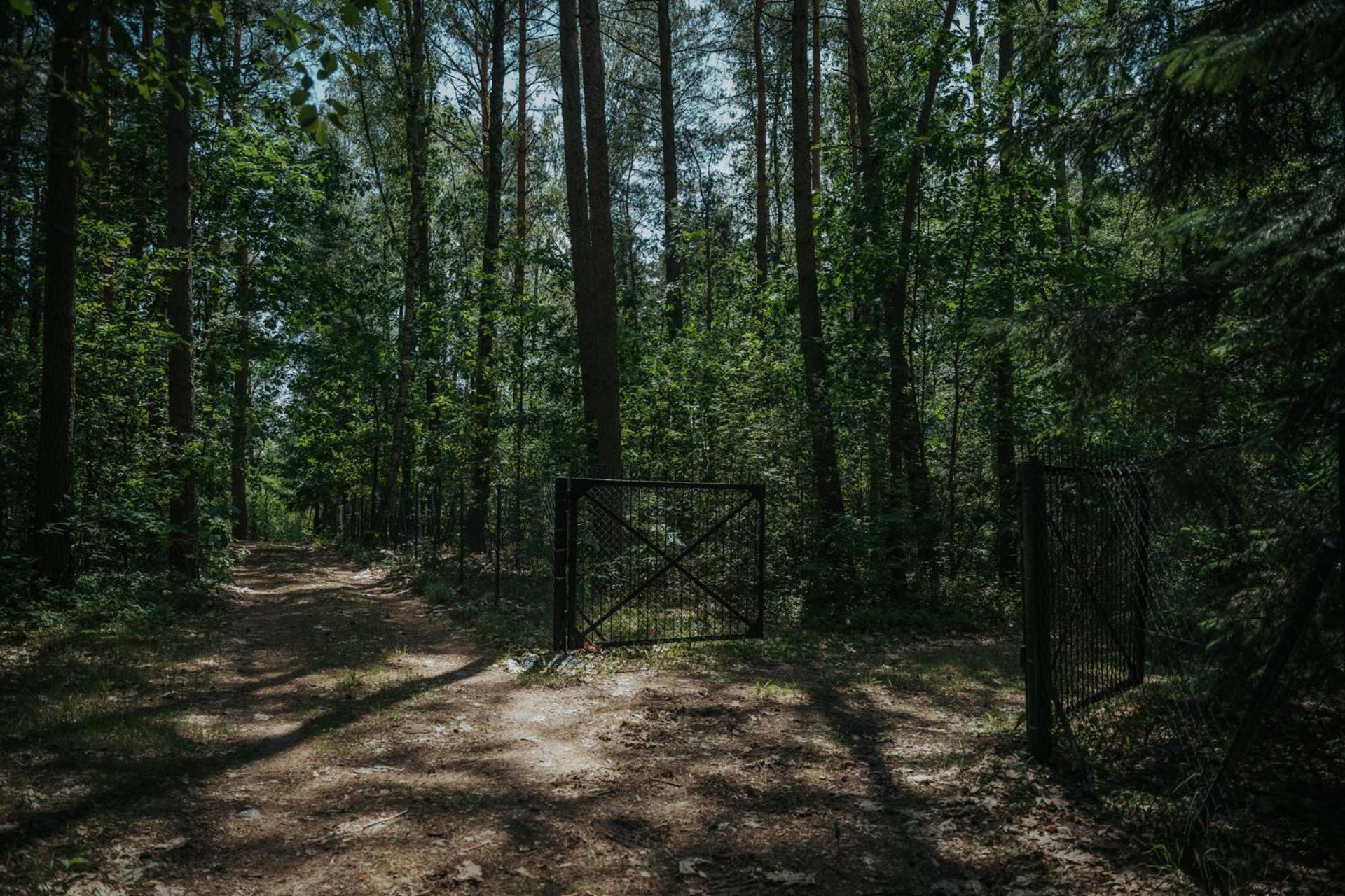 Forest Cabin - 50Min Od Warszawy Wola Polska Buitenkant foto